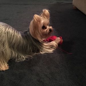 Meet your Posher, Doretha